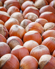 still life with hazelnuts on a table