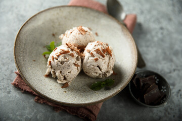 Homemade chocolate ice cream with fresh mint