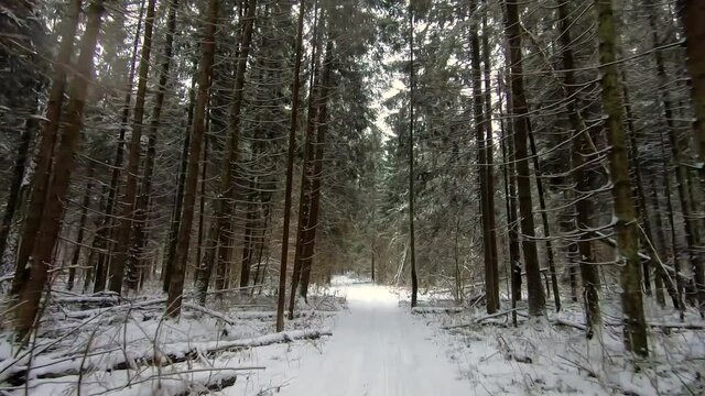 Ride by car on a beautiful winter forest road. An SUV paves its way in the winter forest. Travel in winter by car