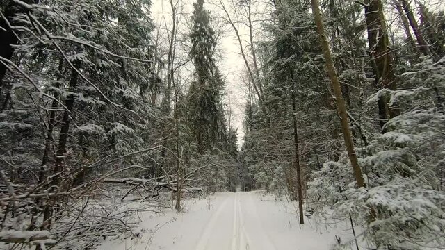 Ride by car on a beautiful winter forest road. An SUV paves its way in the winter forest. Travel in winter by car