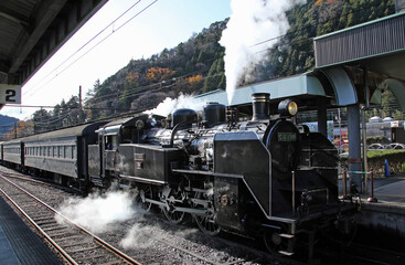 Fototapeta premium 大井川鐵道 SL：現役蒸気機関車、C11型190号機「かわね路号」はとても筋肉質でエネルギッシュ、セクシーな姿と力強い走りに魅了されました