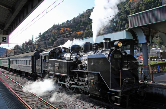 大井川鐵道 SL：現役蒸気機関車、C11型190号機「かわね路号」はとても筋肉質でエネルギッシュ、セクシーな姿と力強い走りに魅了されました