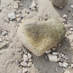 Natural Shapes, Heart