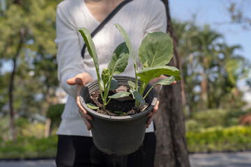 A young woman's hand holding a plant pot to the young man