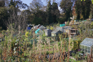 Fototapeta na wymiar Wooden sheds and greenhouses on garden allotments