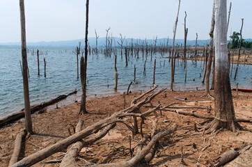 Flooded dry trees, Nam Theun river, Thalang, Thakhek, Laos
