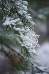 Photo of Christmas tree toys in the winter forest.