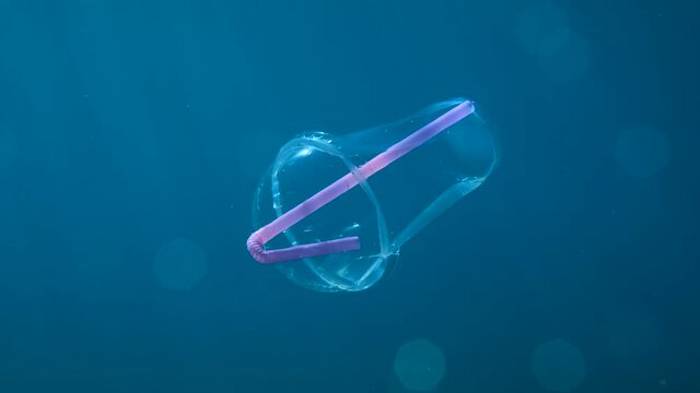 Plastic Cocktail Cup With A Plastic Straw Slowly Drifts Underwater In Blue Water Column In Sunrays. Plastic Garbage Environmental Pollution Problem In Seas And Ocean. Adriatic Sea, Montenegro, Europe