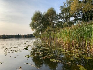 Autumn view of lake