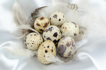 Quail eggs and feathers lie in the nest. Quail eggs in a silk nest.