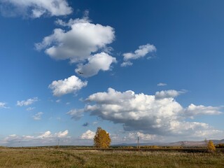 Endless field in autumn