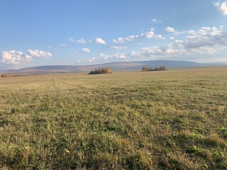 Fototapeta premium Endless field in autumn