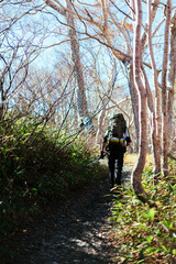 Naklejka premium Autumn trekking on the alps trail