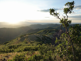 Sunrise in the Mountains