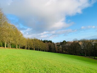landscape with trees and sky