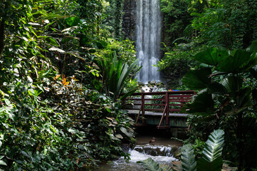 Jurong Bird Park Waterfall Aviary, one of the world's tallest man-made, indoor waterfalls