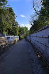 Obraz premium 竹林の小道 嵐山 京都 日本