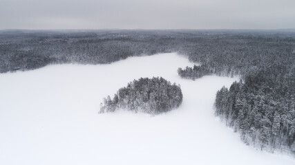 Aerial view of beautiful snow covered pine trees and frozen lake under cloudy sky. Breathtaking view from above. Beautiful winter landscape.