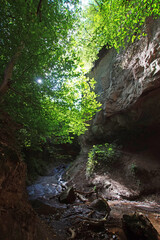 Wald, Schlucht, DE, RLP, Wolfsschlucht bei Kell, Eifel 2020/09/07 11:47:03