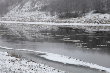 Beautiful rural Park winter river landscape with swimming gray swan near ice floes in calm water and snow covered shores with bare trees at winter day
