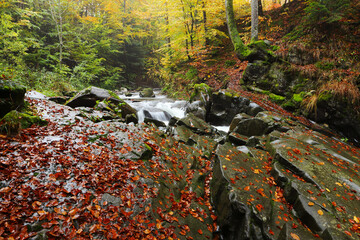 Waterfall in the autumn beech forest.