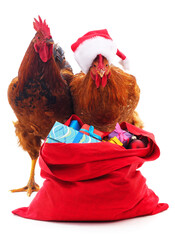 Rooster and chicken in a Christmas hat with a bag with gifts. © voren1