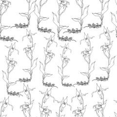 Lady's-slipper orchid seamless pattern ink sketch art design elements stock vector illustration for web, for print, for gardening design, for product design, for packing design