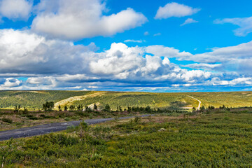 Fototapeta na wymiar northern tundra and taiga in the distance on a summer day