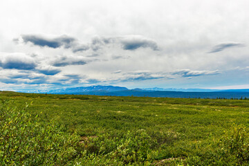 northern tundra and the mountain range on a summer day