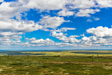 Obraz premium northern tundra and sky with clouds on a summer day