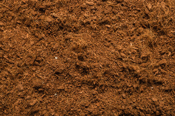 Coconut substrate background.