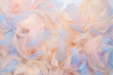 Colorful feather background, top view.