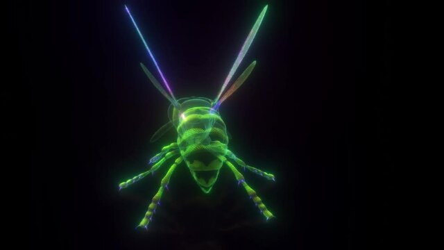 Wasp or hornet digital hud hologram 4k. High quality 4k footage