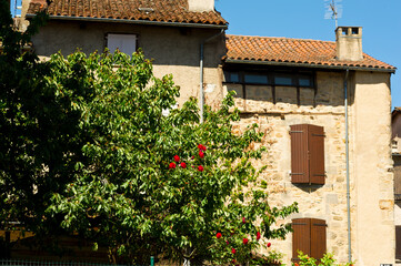 Colourful window shutters, France