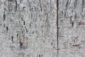 old wood texture background, copy space.