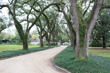 Longue Vue House and Gardens