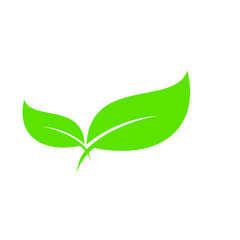 leaf flower logo