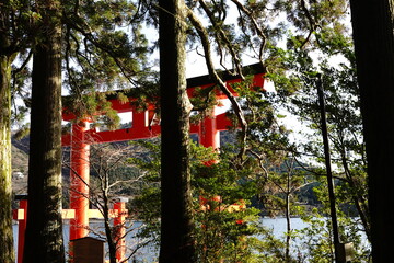 Japanese red big torii gate of Hakone Jinja Shrine at Hakone Kanagawa japan. 
