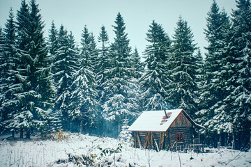Obraz na płótnie Canvas Scenic mountain landscape in the winter season. Carpathian, Ukraine.