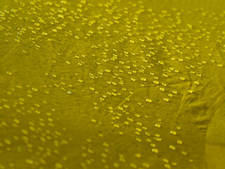 Water drops on waterproof membrane fabric. Detail view of texture of yellow synthetic waterproof cloth. Morning dew on tent.