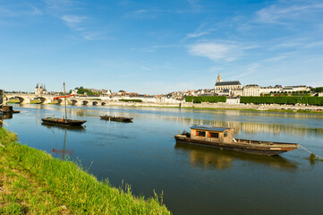 The Cathedral of St. Louis, Blois, France - obrazy, fototapety, plakaty