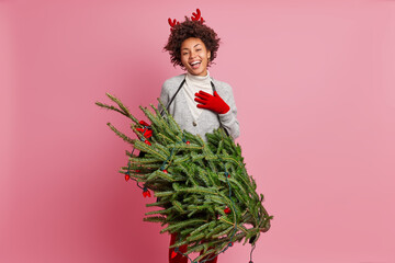 Amused joyful dark skinned woman prepares for New Year celebration carries fir tree pretends...