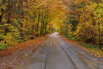 Obraz premium Kurve einer nassen Landstrasse im Regen Oberbayern, Bayern, Deutschland
