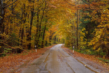 Kurve einer nassen Landstrasse im Regen Oberbayern, Bayern, Deutschland