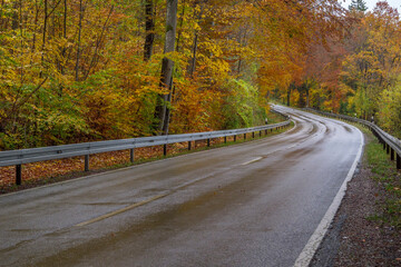 Obraz premium Kurve einer nassen Landstrasse im Regen Oberbayern, Bayern, Deutschland