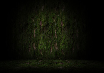 Moss on wood textured wall and floor perfect background front angle 3d rendering
