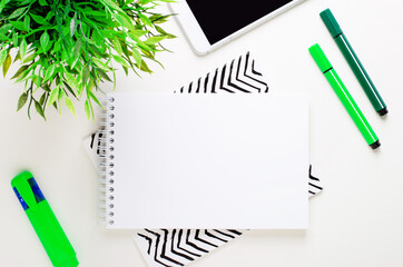 On a white background green markers, a green plant, a phone and a blank notepad with a place to insert text or illustrations.