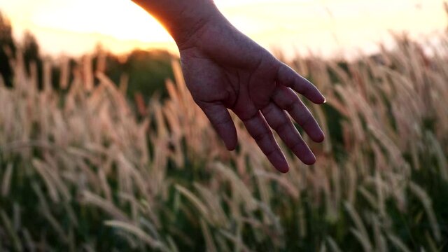 Close-up of mother and daughter hands joining together with sunset sunlight flare in natural background, Slow motion. Beautiful romantic moment between mother and litle child. Happy Family and Relatio