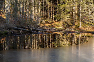 Rachel | Bayerischer Wald | Nationalpark | Wandern | Wanderweg