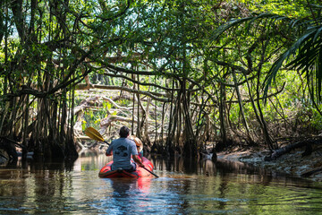 Tourist enjoy Little amazon by canoe, Phang Nga